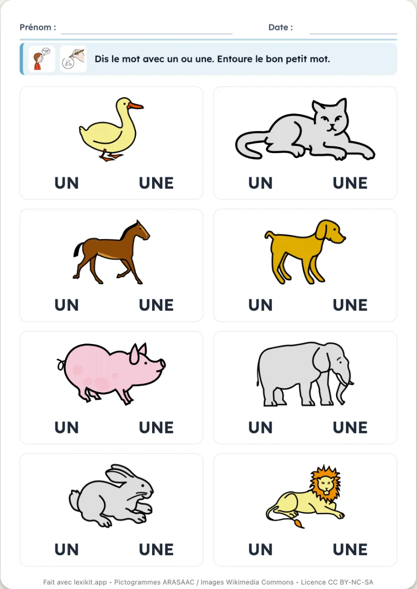 Worksheet of pictures with the articles to circle under each