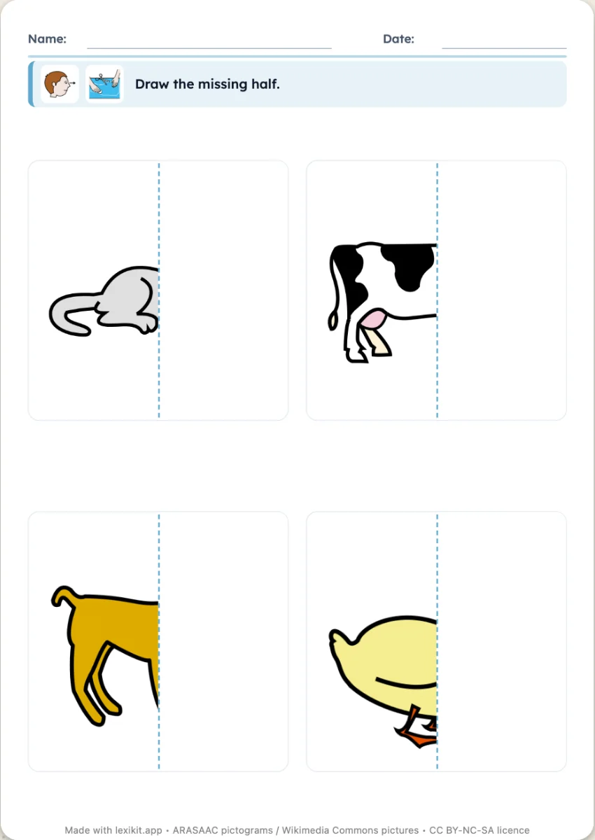 Worksheet where the missing half of each picture is to be drawn