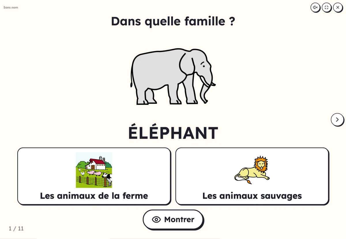 Dans quelle famille ? à l'écran : un chat et les boîtes des animaux et des fruits