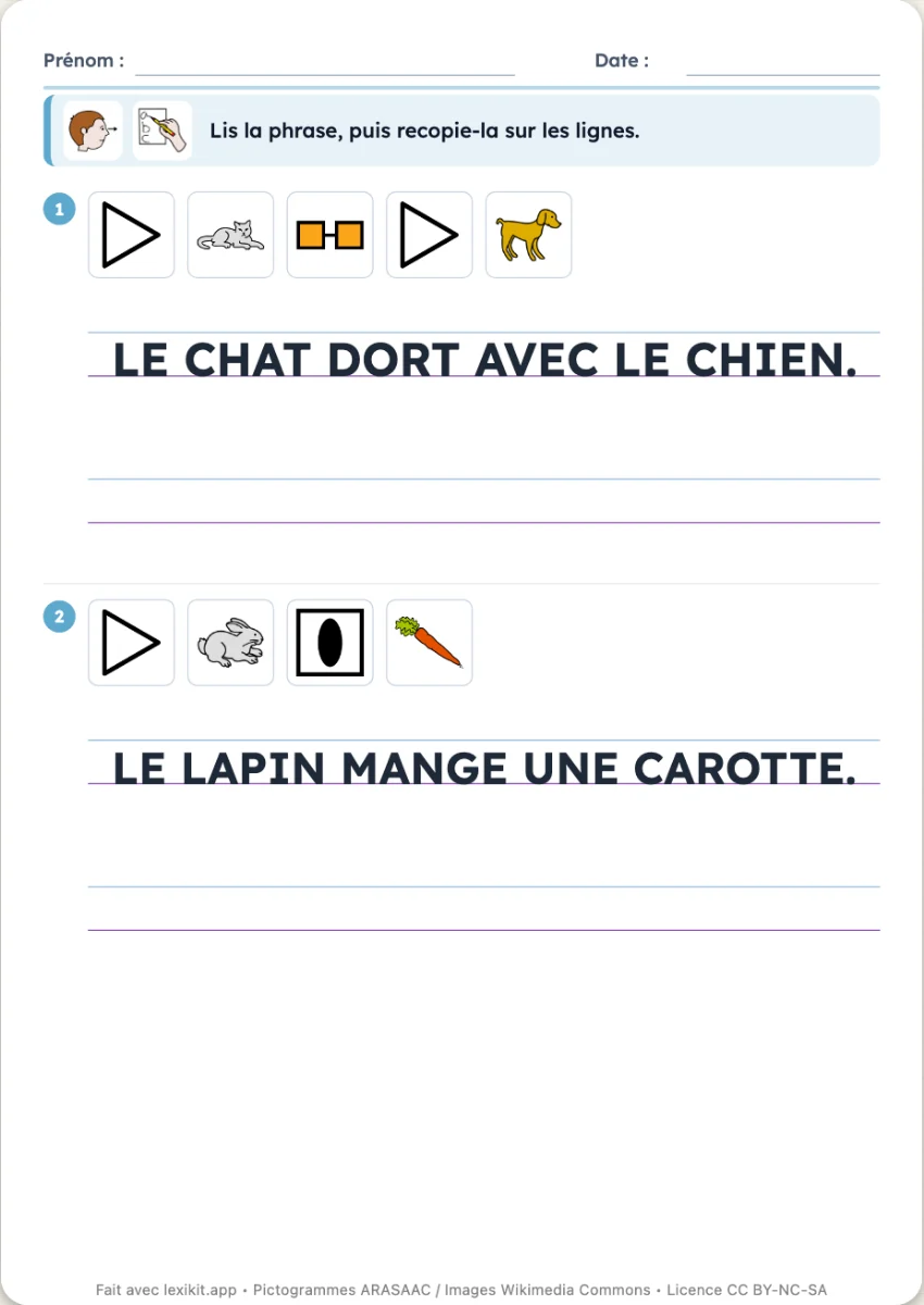 Fiche d'écriture : une phrase modèle sur lignage et les lignes pour la recopier