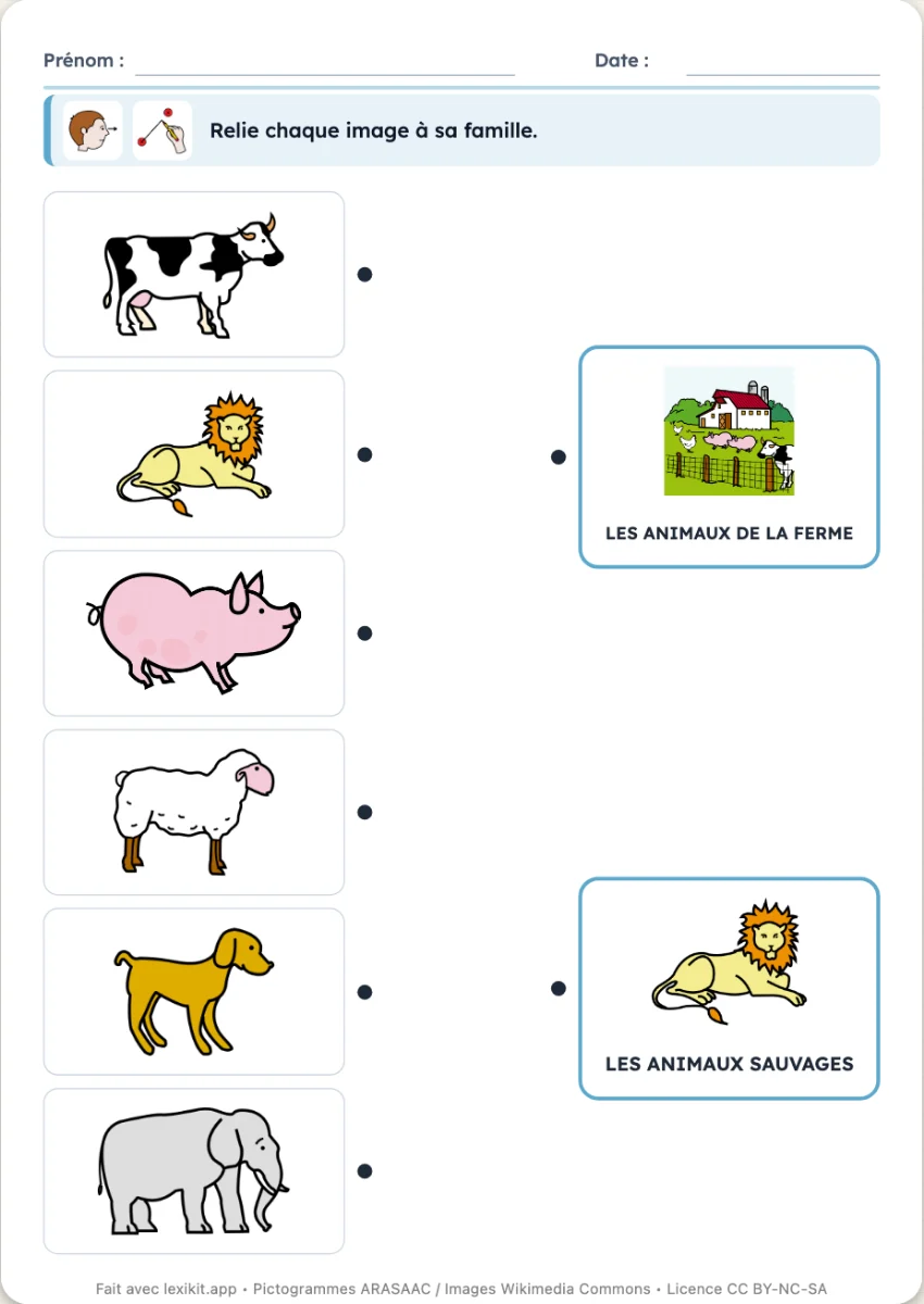 Fiche où relier chaque image à la boîte de sa famille