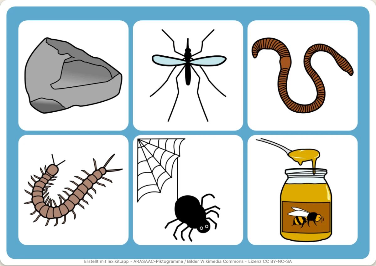 Bingo zum Ausdrucken, erste Seite: Krabbeltiere