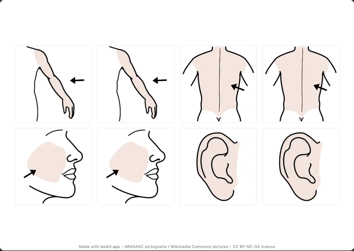 Memory game to print, first page: My body