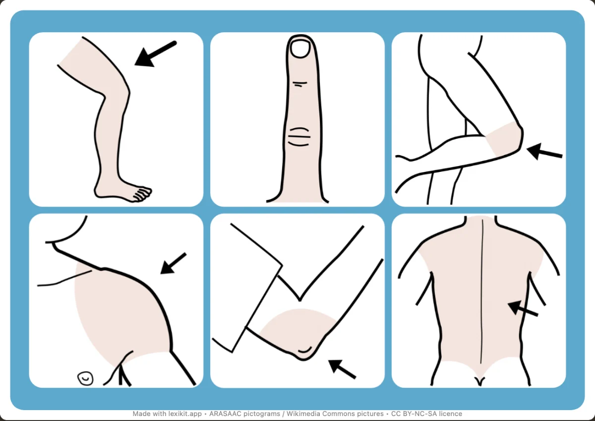 Picture bingo to print, first page: My body