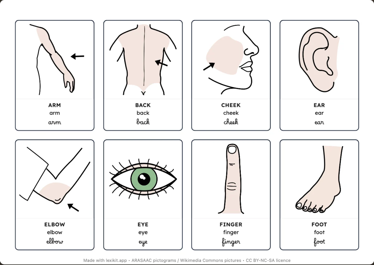 Printable picture dictionary: My body
