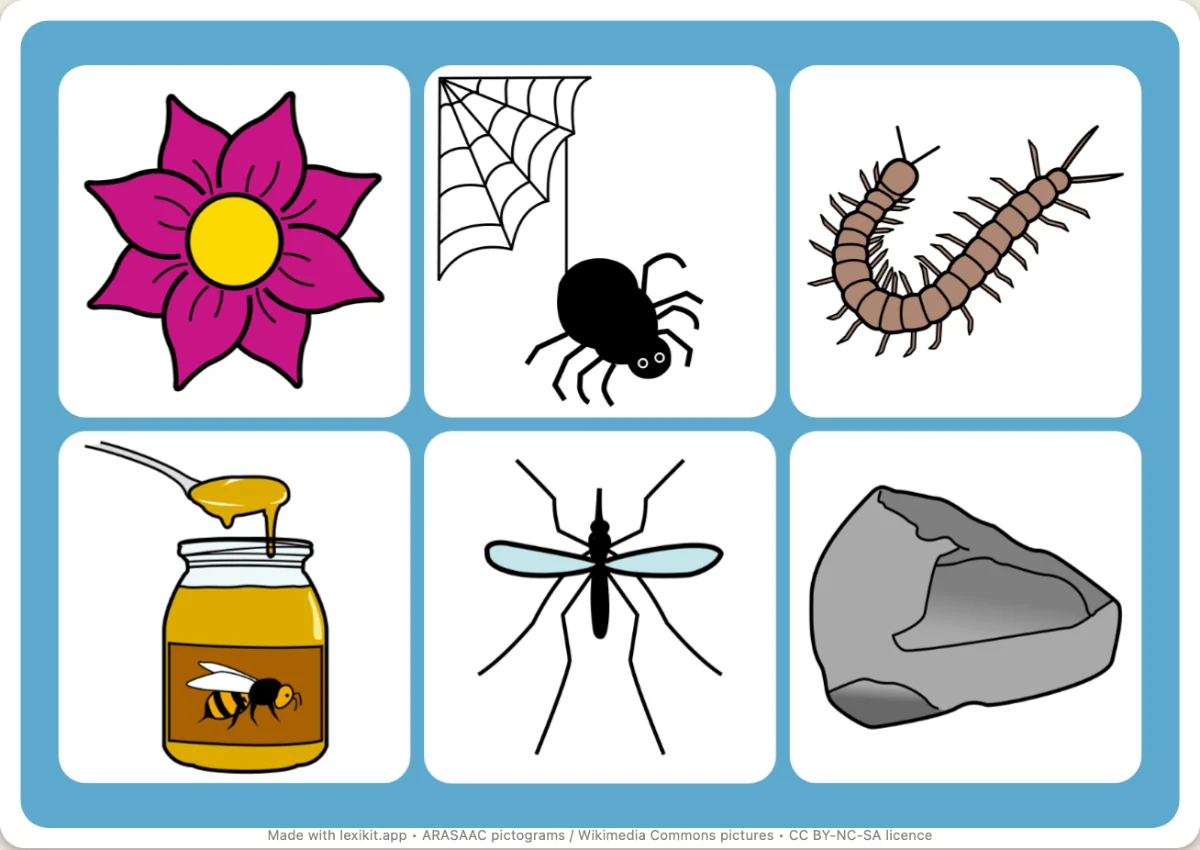 Picture bingo to print, first page: Minibeasts