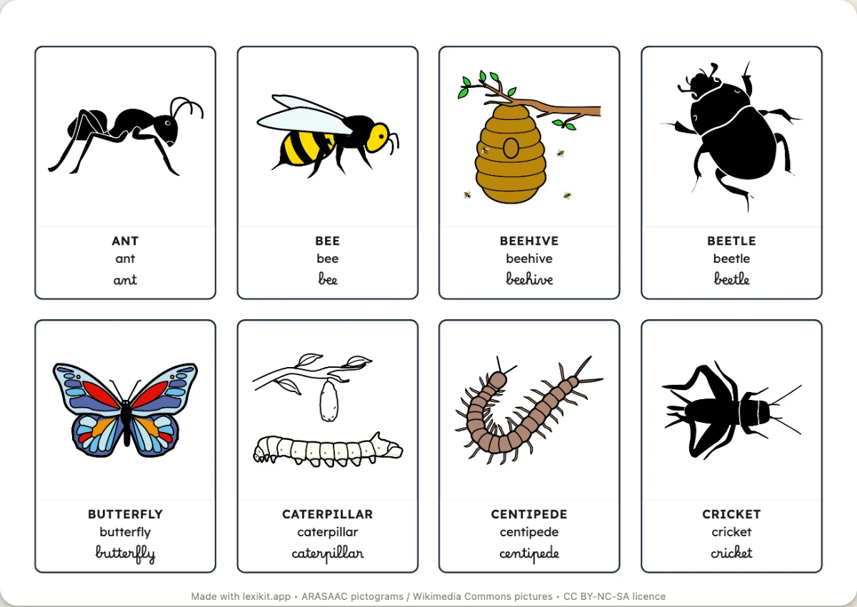 Printable picture dictionary: Minibeasts