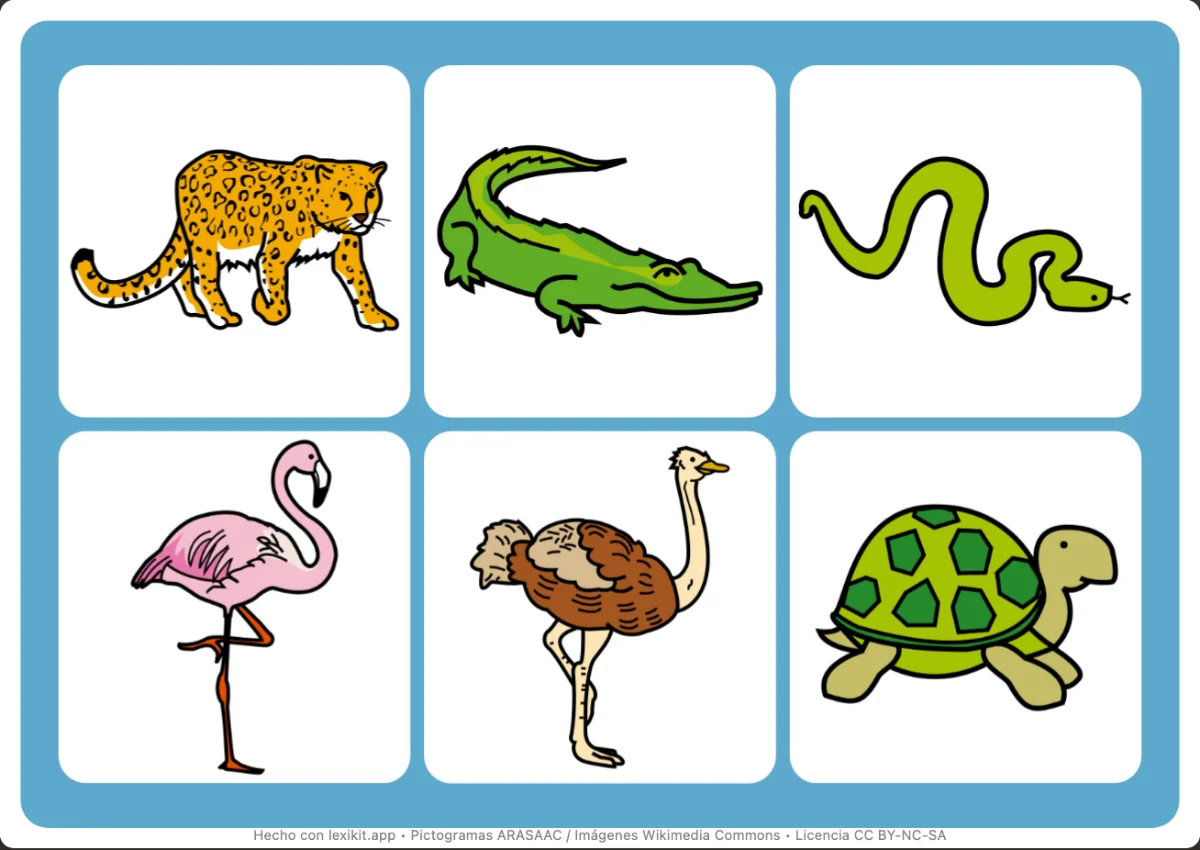 Bingo para imprimir, primera página: En el zoo